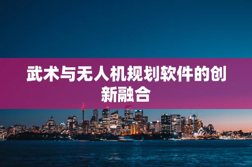 武术与无人机规划软件的创新融合