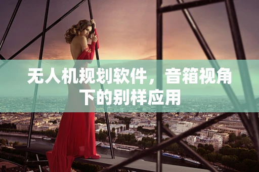 无人机规划软件，音箱视角下的别样应用