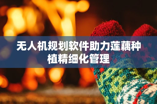 无人机规划软件助力莲藕种植精细化管理