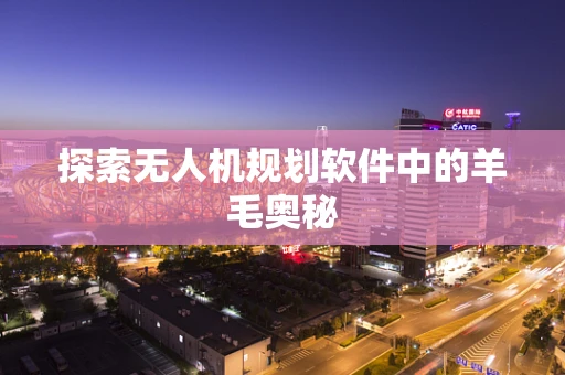 探索无人机规划软件中的羊毛奥秘