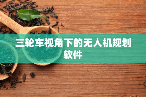 三轮车视角下的无人机规划软件