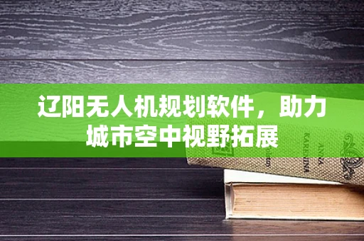 辽阳无人机规划软件，助力城市空中视野拓展