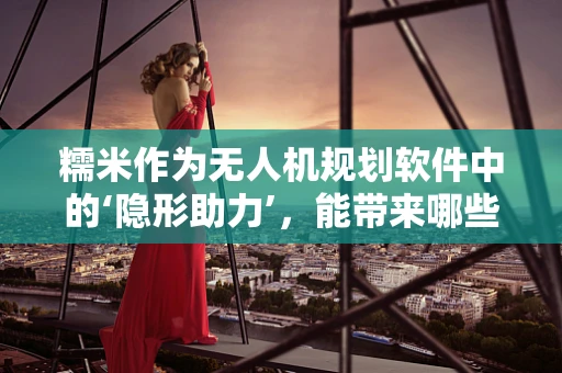 糯米作为无人机规划软件中的‘隐形助力’，能带来哪些创新应用？