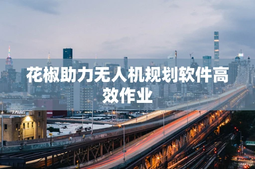 花椒助力无人机规划软件高效作业