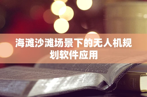 海滩沙滩场景下的无人机规划软件应用