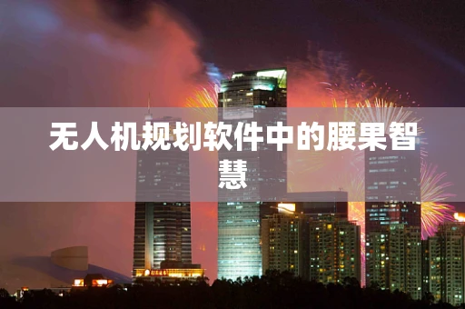 无人机规划软件中的腰果智慧