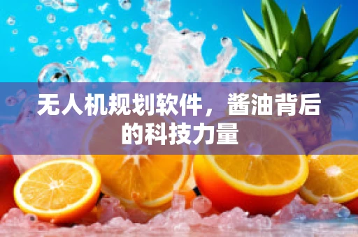 无人机规划软件，酱油背后的科技力量