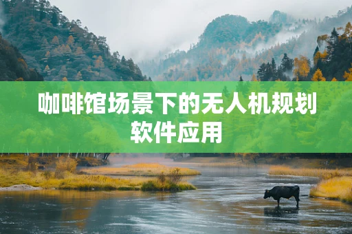 咖啡馆场景下的无人机规划软件应用