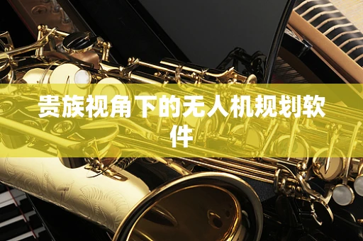 贵族视角下的无人机规划软件