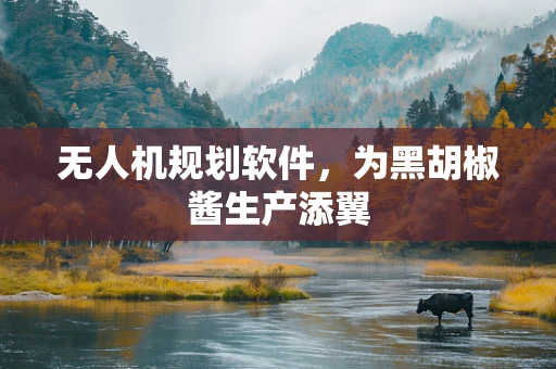 无人机规划软件，为黑胡椒酱生产添翼