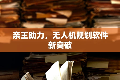 亲王助力，无人机规划软件新突破
