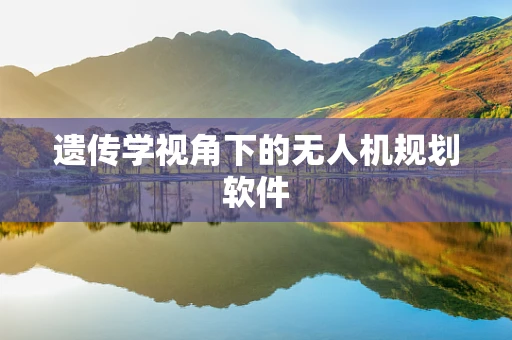 遗传学视角下的无人机规划软件