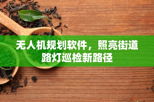 无人机规划软件，照亮街道路灯巡检新路径