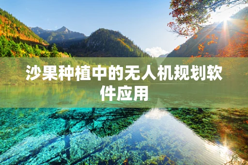 沙果种植中的无人机规划软件应用