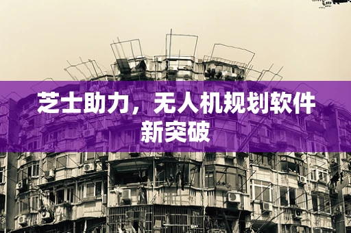 芝士助力，无人机规划软件新突破