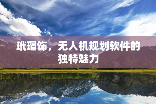 玳瑁饰，无人机规划软件的独特魅力