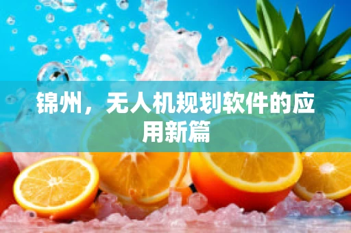 锦州，无人机规划软件的应用新篇