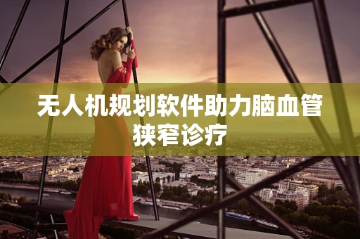 无人机规划软件助力脑血管狭窄诊疗
