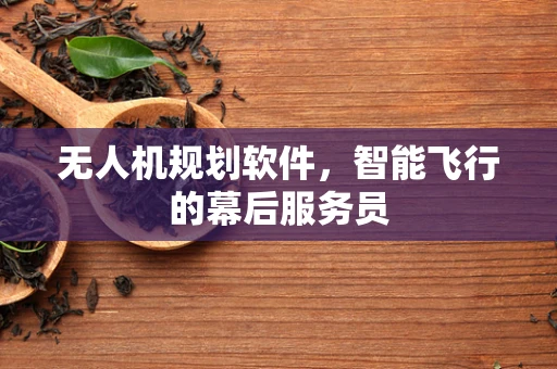 无人机规划软件，智能飞行的幕后服务员