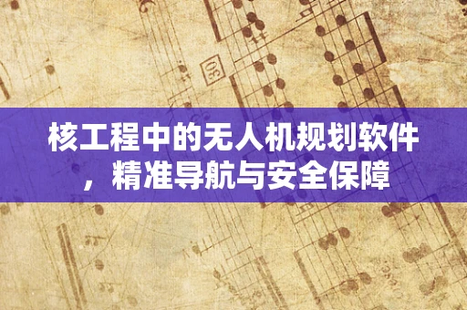 核工程中的无人机规划软件，精准导航与安全保障