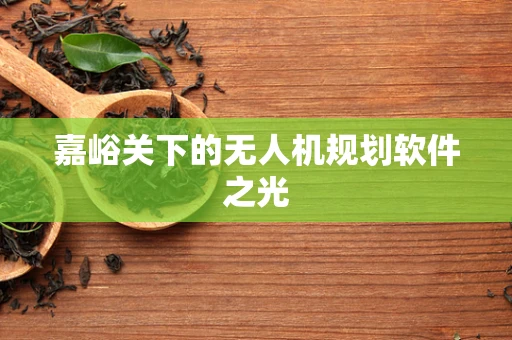 嘉峪关下的无人机规划软件之光