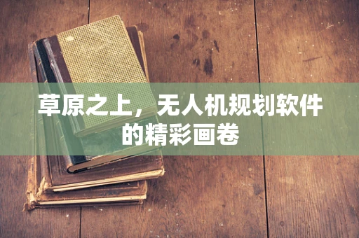 草原之上，无人机规划软件的精彩画卷