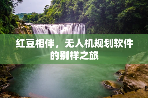 红豆相伴，无人机规划软件的别样之旅