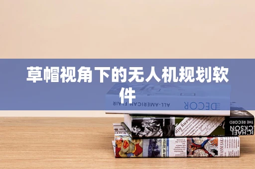 草帽视角下的无人机规划软件