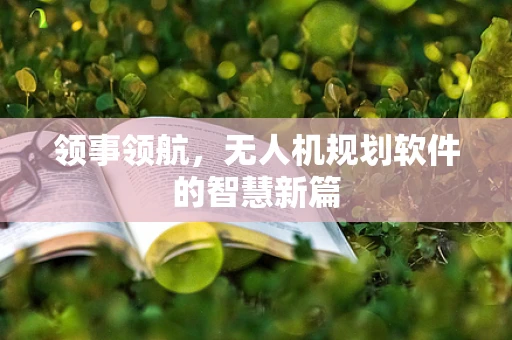 领事领航，无人机规划软件的智慧新篇