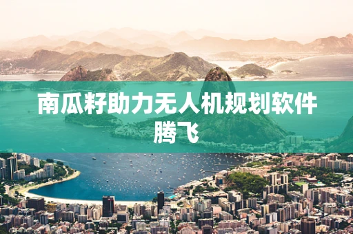 南瓜籽助力无人机规划软件腾飞
