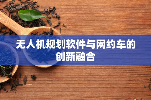 无人机规划软件与网约车的创新融合
