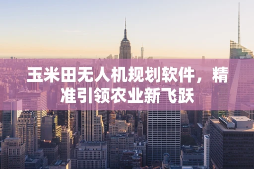 玉米田无人机规划软件，精准引领农业新飞跃