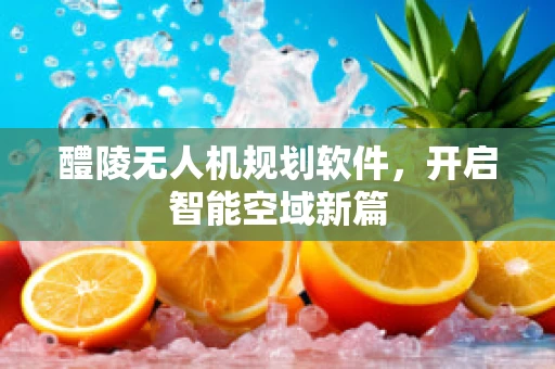 醴陵无人机规划软件，开启智能空域新篇