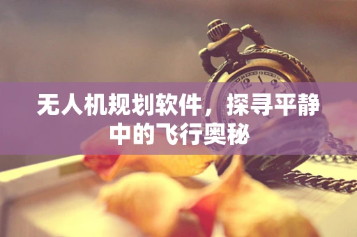 无人机规划软件，探寻平静中的飞行奥秘