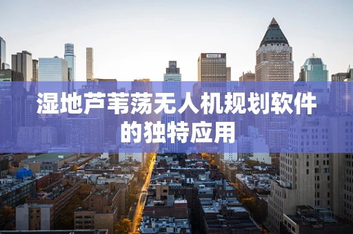 湿地芦苇荡无人机规划软件的独特应用