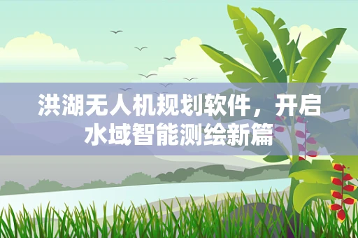 洪湖无人机规划软件，开启水域智能测绘新篇