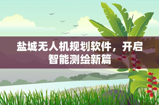 盐城无人机规划软件，开启智能测绘新篇