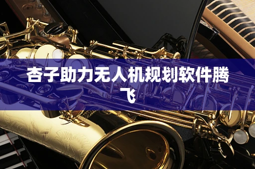 杏子助力无人机规划软件腾飞