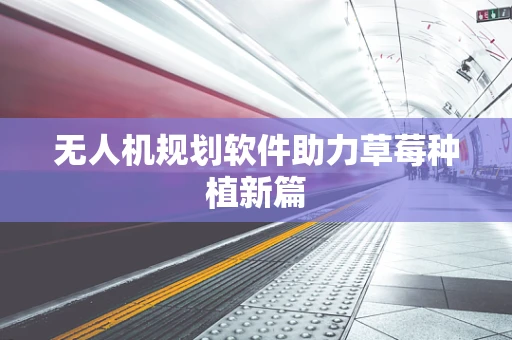 无人机规划软件助力草莓种植新篇