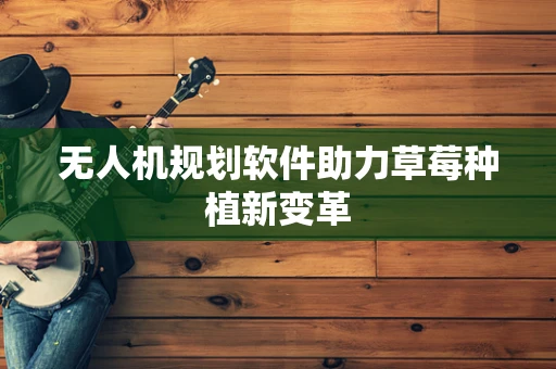 无人机规划软件助力草莓种植新变革