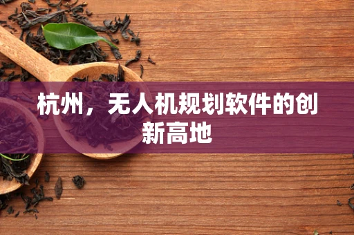 杭州，无人机规划软件的创新高地