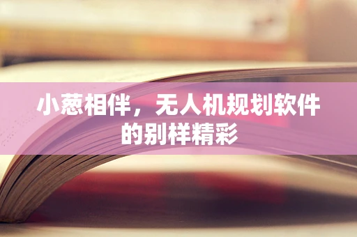 小葱相伴，无人机规划软件的别样精彩