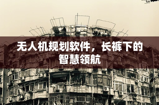 无人机规划软件，长裤下的智慧领航