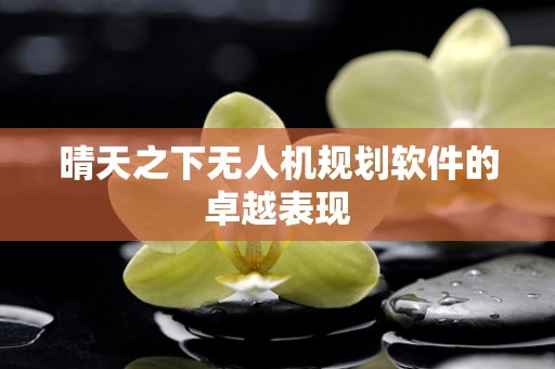 晴天之下无人机规划软件的卓越表现