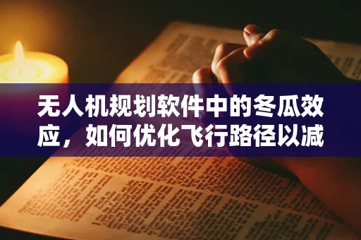 无人机规划软件中的冬瓜效应，如何优化飞行路径以减少障碍物碰撞？