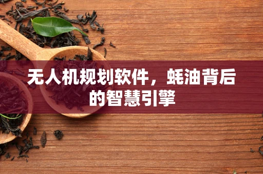 无人机规划软件，蚝油背后的智慧引擎