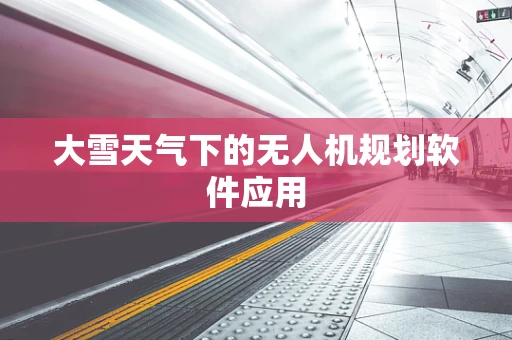 大雪天气下的无人机规划软件应用