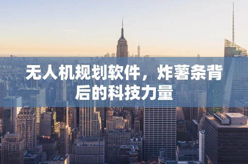 无人机规划软件，炸薯条背后的科技力量