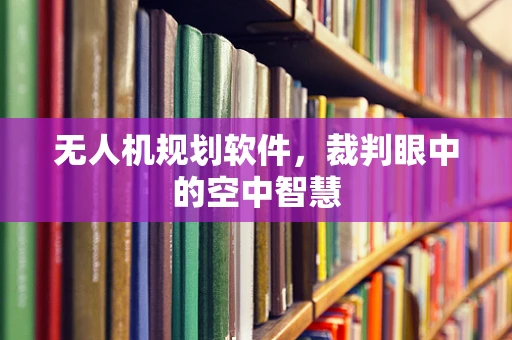 无人机规划软件，裁判眼中的空中智慧