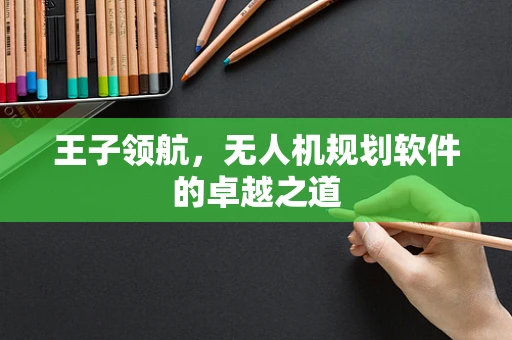 王子领航，无人机规划软件的卓越之道